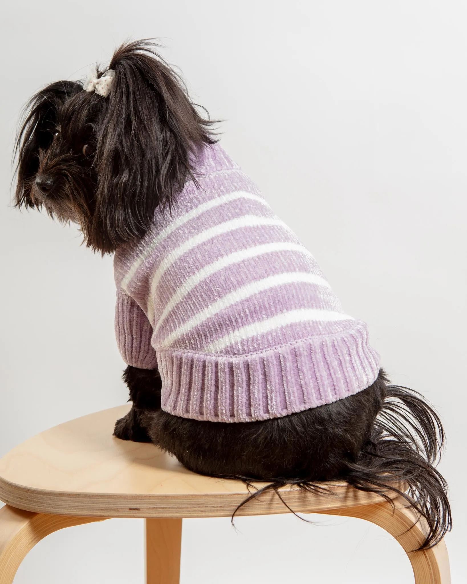 Cozy Soft Chenille Striped Dog Sweater in Lavender Frost (FINAL SALE)