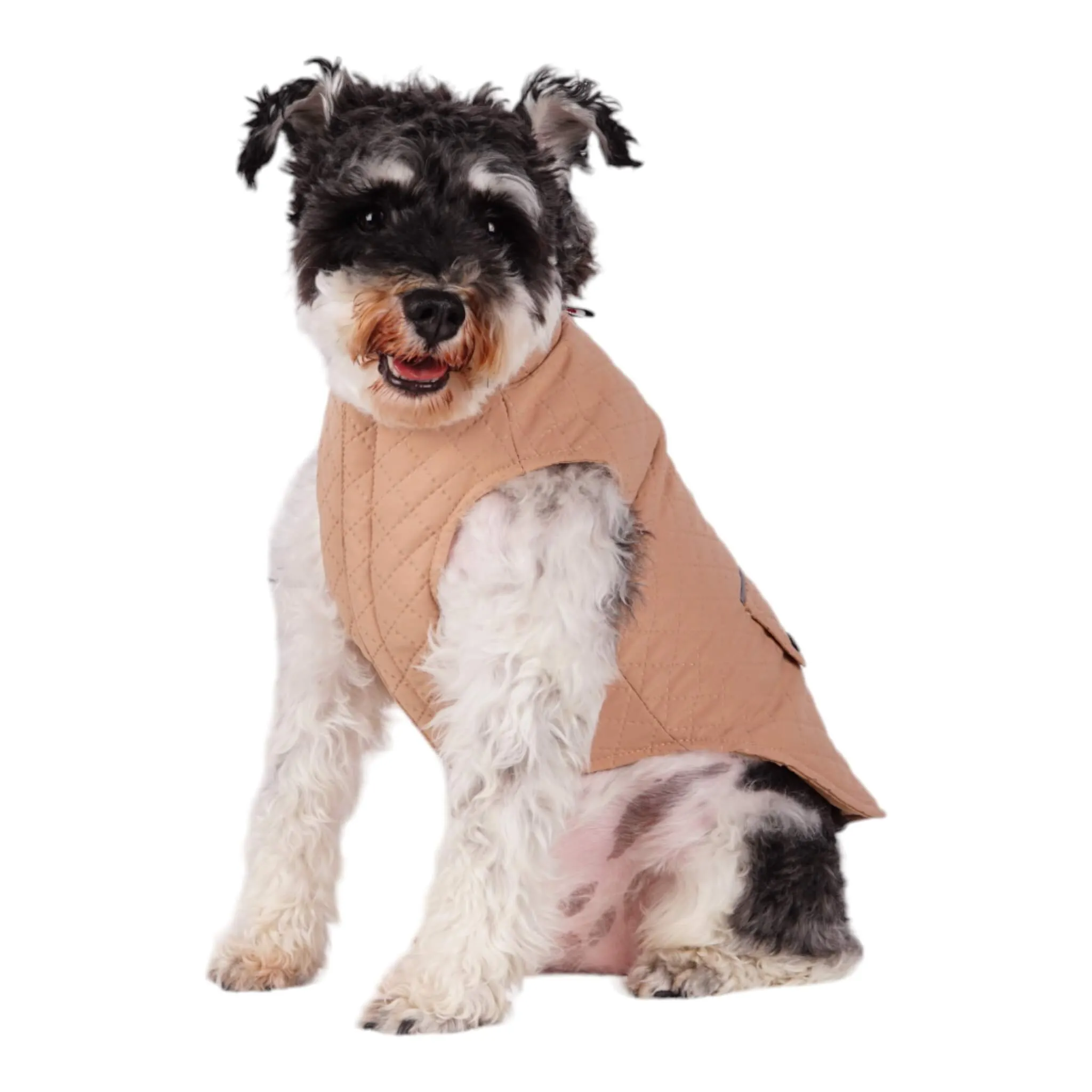 Somerset Dog Coat